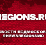Стоявшую на мосту девушку спасли в Балашихе - Regions.Ru