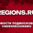 Геннадий Попов в третий раз стал председателем Совета депутатов Балашихи - Regions.Ru