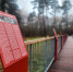 Более 200 саженцев деревьев и кустарников высадили в Вишняковском лесопарке - Regions.Ru