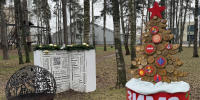 Балашиха зажигает новогодние огни: до старта зимнего сезона остается совсем немного - Regions.Ru